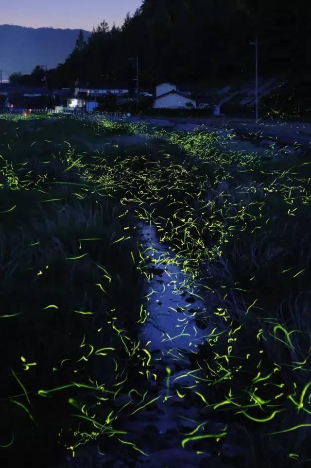 逃离整洁房屋